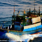 Solar Subsidi Dikirim Melalui Perairan Tanjung Pallette, Rusak Rumput Laut Nelayan
