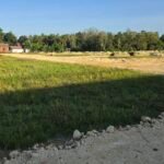 Diduga Tanpa Izin Lingkungan, Pengembang Perumahan Sudah Timbun Sawah Di Bone
