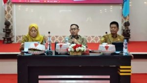 Wabup Bone Pimpin High Level Meeting TP2DD, Evaluasi Digitalisasi Daerah dan Realisasi PAD Triwulan II 2026