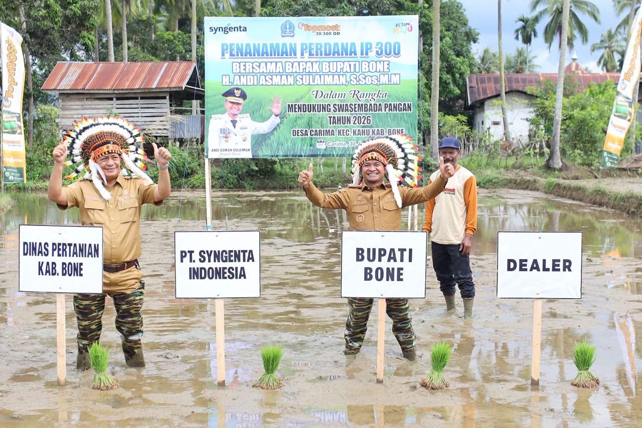 Bupati Bone Tanam Perdana Padi Inpari 300, Perkuat Swasembada Pangan 2026