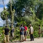 Tim Mannennungeng Bersama Warga Kajaolaliddong Gelar Gotong Royong Bersihkan Semak dan Pohon Berisiko Tumbang