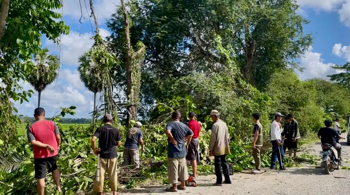 Tim Mannennungeng Bersama Warga Kajaolaliddong Gelar Gotong Royong Bersihkan Semak dan Pohon Berisiko Tumbang
