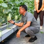 Perkuat Sektor Pertanian, Bupati Bone Kunjungi Green House Modern di Sleman