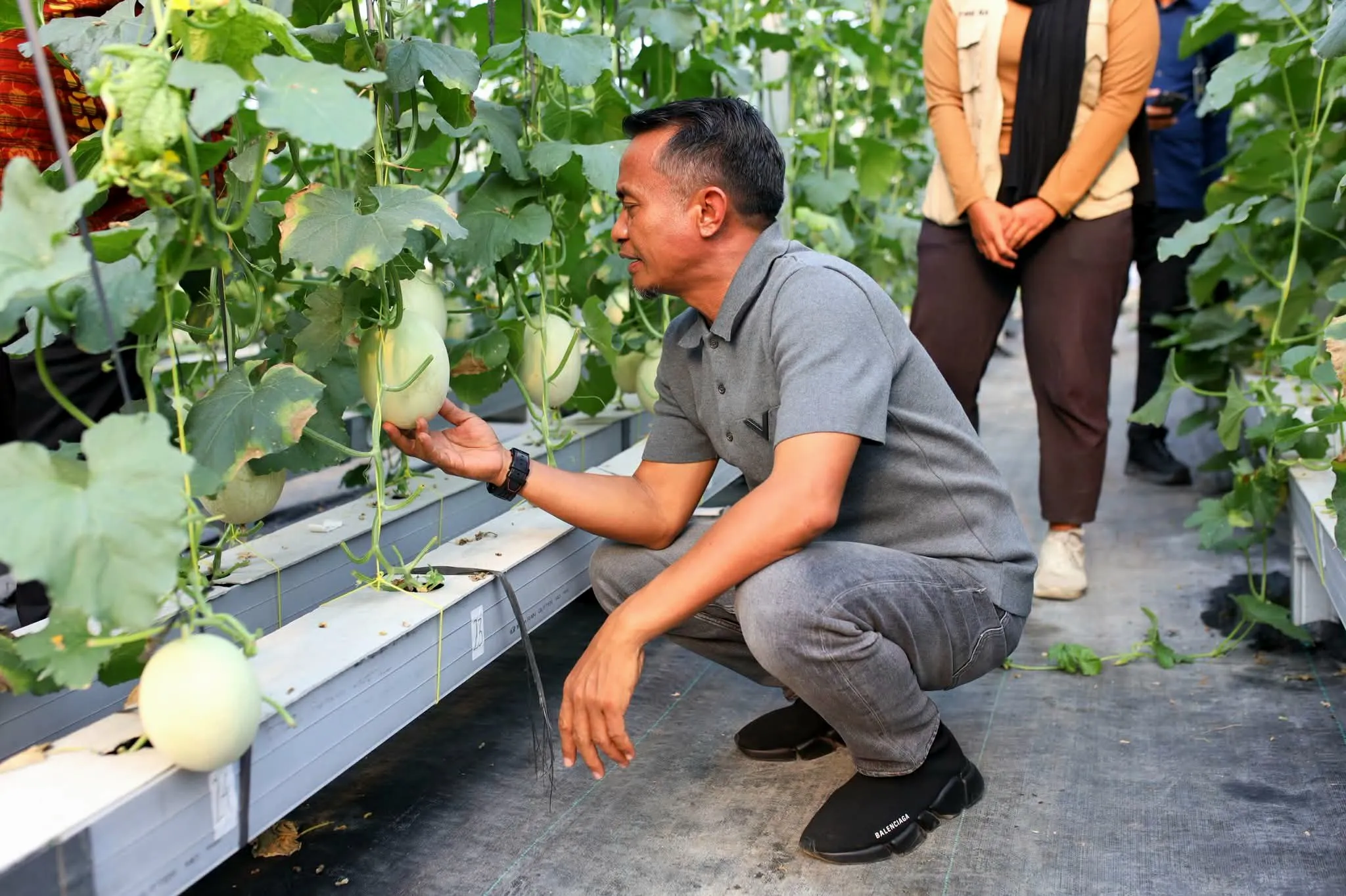 Perkuat Sektor Pertanian, Bupati Bone Kunjungi Green House Modern di Sleman