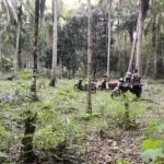 Sikat Habis Penyakit Masyarakat, Polsek Kahu Bersama TNI Bongkar Arena Judi Sabung Ayam di Perbatasan