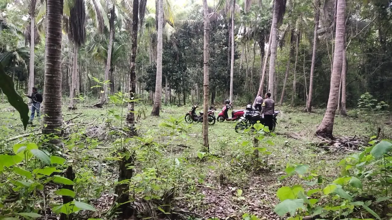Sikat Habis Penyakit Masyarakat, Polsek Kahu Bersama TNI Bongkar Arena Judi Sabung Ayam di Perbatasan