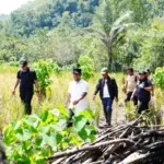 Dongkrak Sektor Pertanian, Gubernur Sulsel Bersama Bupati Bone Tinjau Rencana Pembangunan Irigasi Perpipaan Seluas 3.400 Hektare di Bengo