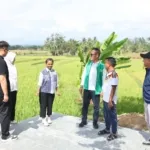 Bupati Bone Sambut Investor Asal China, Siap Bangun Pabrik Pengolahan Kelapa di Amali dan Tellu Siattinge