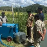 Terobosan Baru Pertanian di Bone, PLN Watampone Luncurkan Pompa Irigasi Baterai EPUMP untuk Bantu Petani