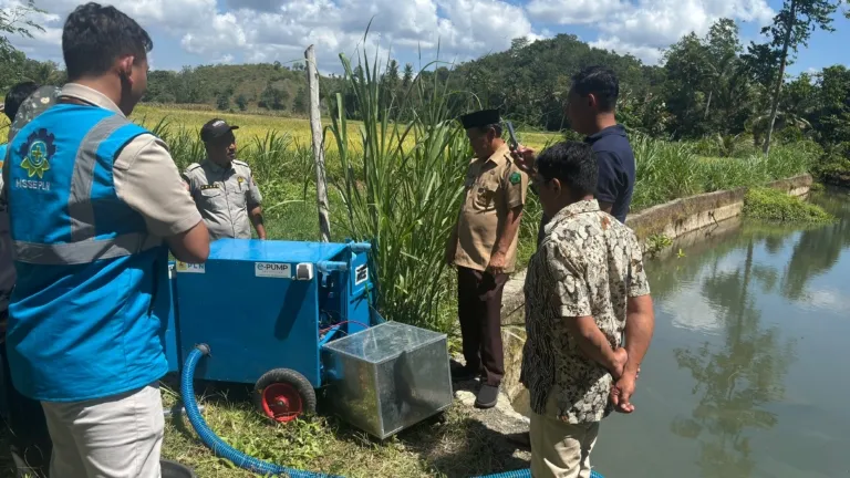 Terobosan Baru Pertanian di Bone, PLN Watampone Luncurkan Pompa Irigasi Baterai EPUMP untuk Bantu Petani