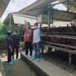 Investasi Jumbo Rp627 Miliar Digelontorkan, Kabupaten Bone Resmi Jadi Pusat Pertumbuhan Hilirisasi Ayam Terintegrasi Indonesia Timur