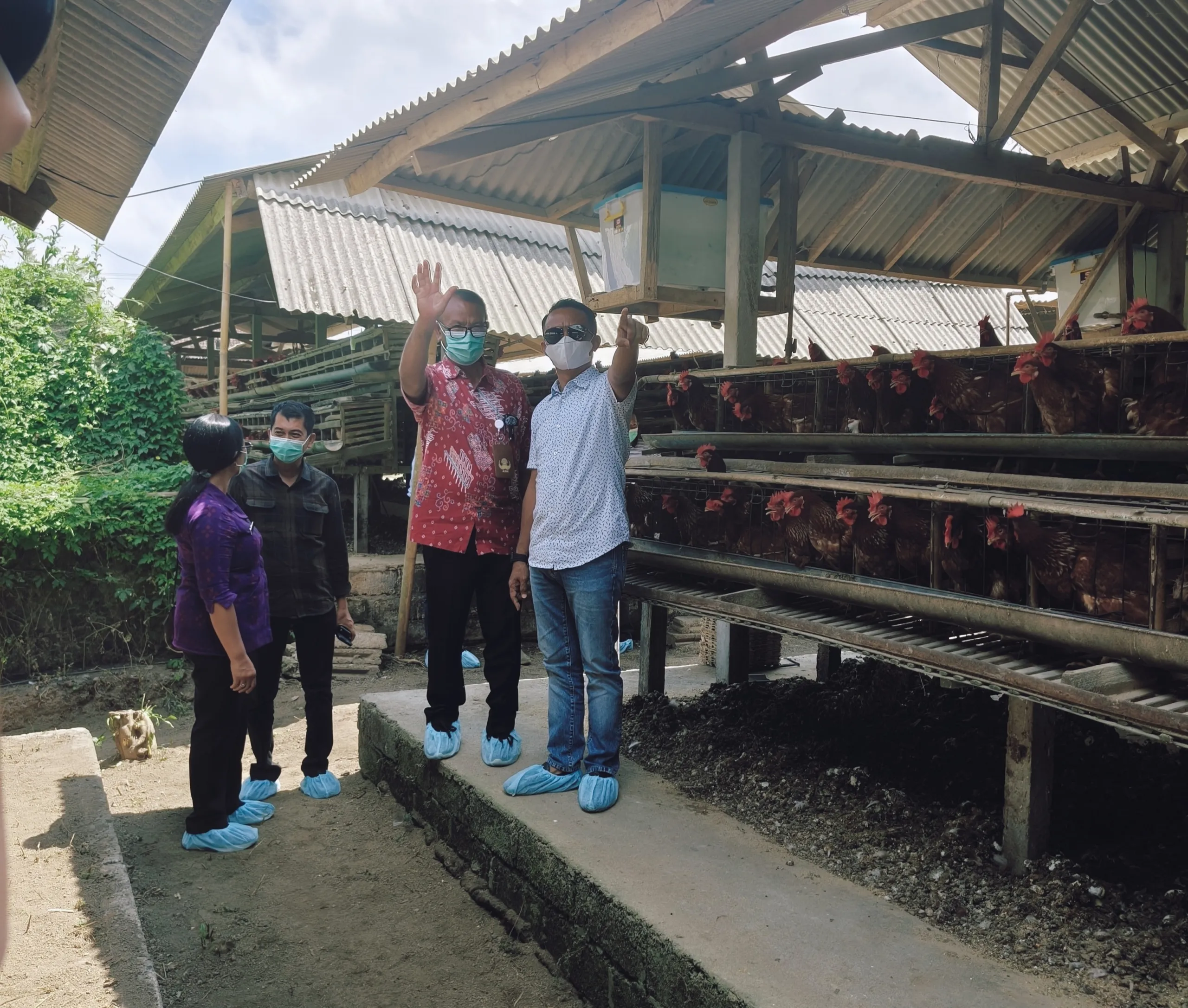 Investasi Jumbo Rp627 Miliar Digelontorkan, Kabupaten Bone Resmi Jadi Pusat Pertumbuhan Hilirisasi Ayam Terintegrasi Indonesia Timur