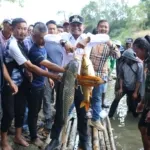 Nyaris Tanpa Sekat! Bupati Bone Nostalgia Masa Kecil Lewat Mappabaje dan Mappajala Sekaligus Salurkan 8 Ribu Benih Ikan