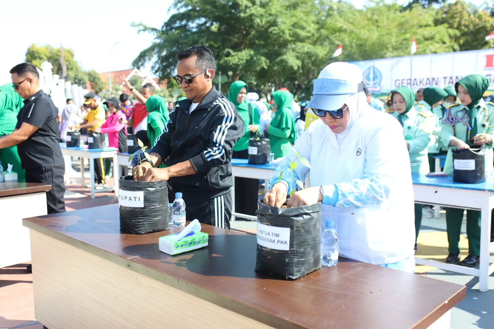 Tekan Ketergantungan Luar Daerah, Bupati Bone Launching Gerakan Tanam Sayur Rumah Tangga dan Bagikan 2.400 Bibit