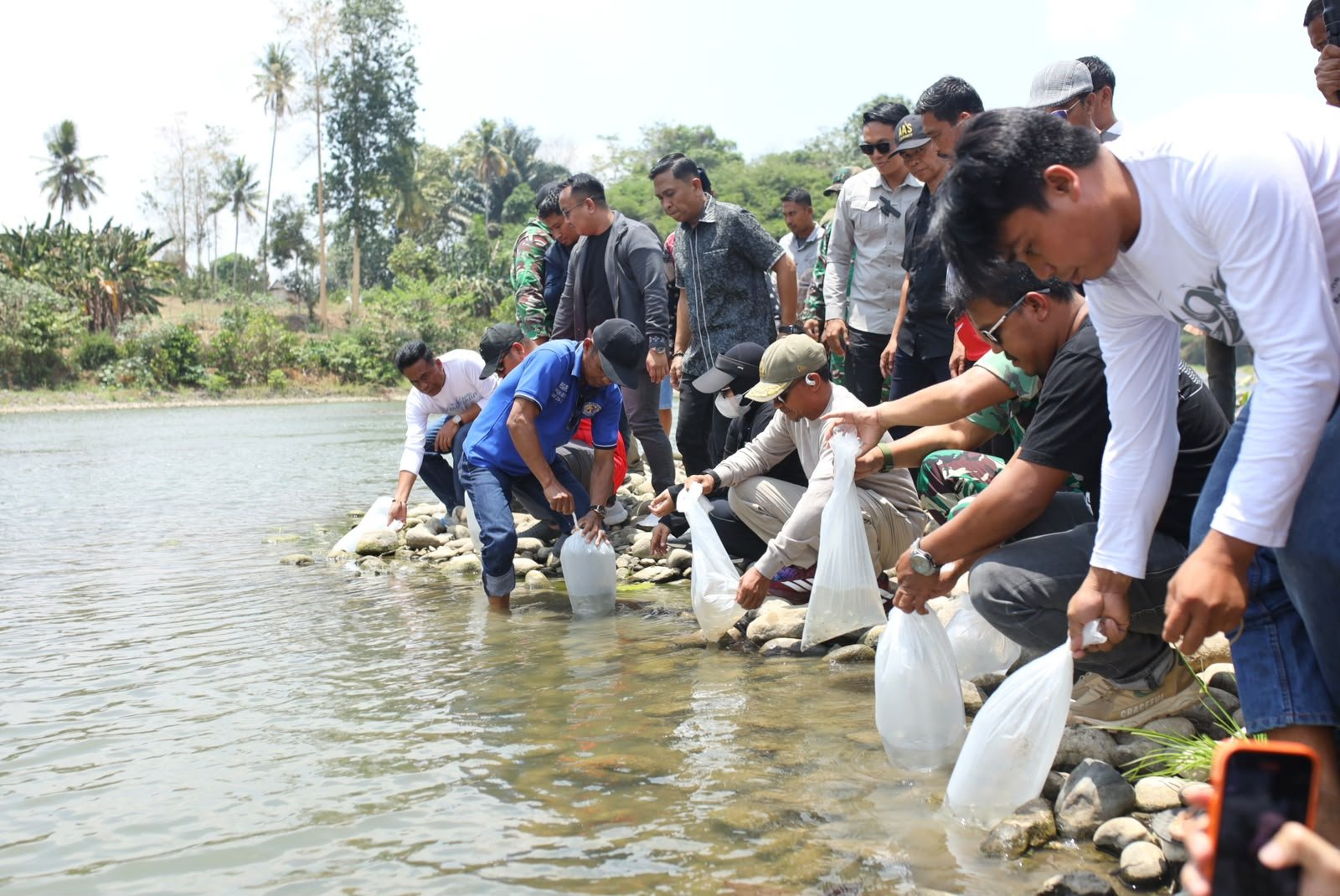 Wujud Syukuran dan Kelestarian Lingkungan, BupAAS Lepas 10 Ribu Bibit Ikan di Sungai Walannae Saat Pesta Panen Mallemmang
