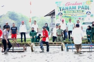 Hadapi Ancaman El Niño, Bupati Bone Pimpin Gerakan Tanam Padi PM AAS Demi Jaga Ketahanan Pangan