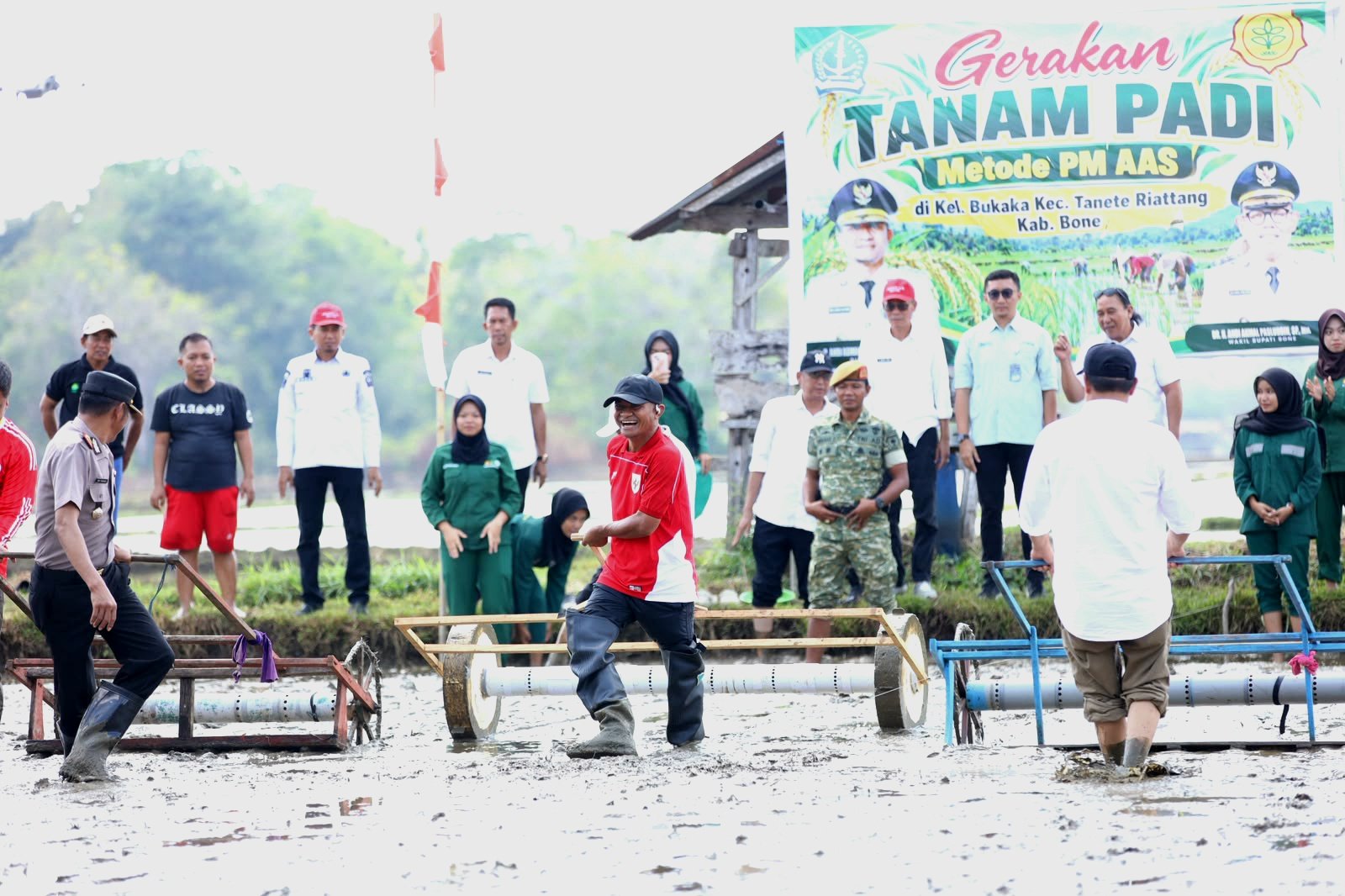 Hadapi Ancaman El Niño, Bupati Bone Pimpin Gerakan Tanam Padi PM AAS Demi Jaga Ketahanan Pangan
