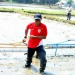 Gelora Sumpah Pemuda dari Tanah Gersang: Bupati Bone Kobarkan Semangat Petani Muda Hadapi Krisis Iklim