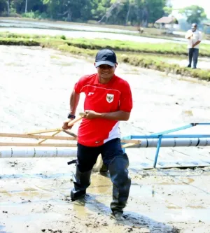 Gelora Sumpah Pemuda dari Tanah Gersang: Bupati Bone Kobarkan Semangat Petani Muda Hadapi Krisis Iklim