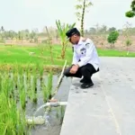 BupAAS Bidik Embung Anti-El Niño, Pertanian Bone Lepas dari Bayang-Bayang Musim