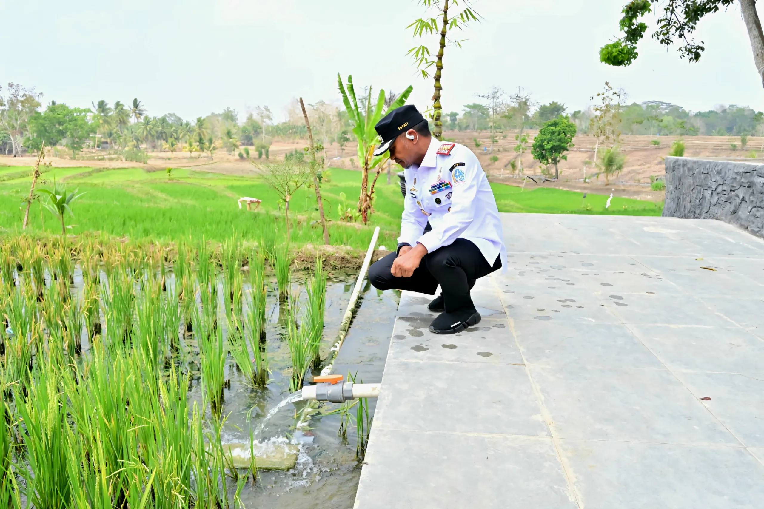 BupAAS Bidik Embung Anti-El Niño, Pertanian Bone Lepas dari Bayang-Bayang Musim